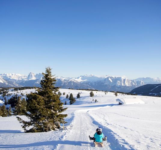 Tobogganing